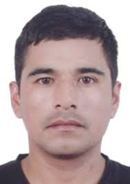 Ingresos de Otorongos Elecciones 2022