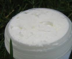 Je Vous Souhaite Une Belle Annee 2012 Riche D Echanges Reussites Et Belle Patouilles Pour Commencer L Chantilly De Karite Recette Gourmande Alimentation