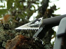 Which Broadheads Work Best For Crossbows Bowhunting Com