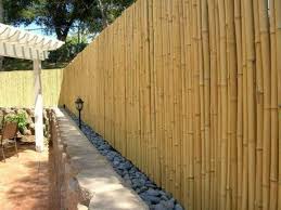 Bamboo can make great visual screens, used three 1500mm long troughs from our 500 modular series of planter boxes. Amazing Ideas For Bamboo Fences To Decorate Your Yard And Garden My Desired Home