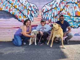 Adopt a dog or adopt a cat and you'll have a friend for life. Paws Across Borders Rescues Dogs In Mexico But The Work Has Stalled