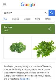 Pokok ketumbar ni bila tua akan menghasilkan bunga dan ada biji. Faizal Rosly On Twitter Ramai Orang Tak Tahu Beza Daun Sup Dengan Daun Ketumbar Sehingga Menimbulkan Parsleysihan Faham