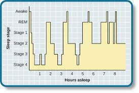 stages of sleep introduction to psychology