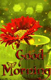 All animated good morning pictures are. Morning Flower Gif Morning Flower Gifs Good Morning Flowers Gif Good Morning Gif Good Morning Beautiful Gif