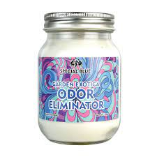 Diy odor eliminator spray and air freshener for furniture. Special Blue Odor Eliminator Candle 13oz Garden Exotica Walmart Com Walmart Com