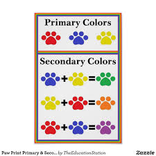 paw print primary secondary color chart poster zazzle