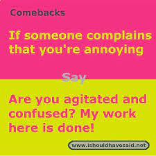 When People Call You Annoying Shut Them Up With One Of Our Clever Comebacks Check Out Our Top T Funny Insults And Comebacks Funny Comebacks Sarcasm Comebacks