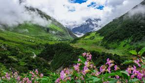 Maybe you would like to learn more about one of these? Uttarakhand S Valley Of Flowers Is Now Open For Tourists