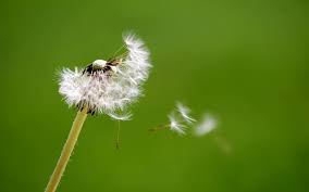 Foundations of our faith