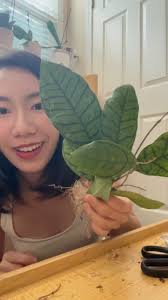 SunnySideUp with Nicole