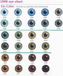 22 Best Eye Color Images In 2019 Eye Color Eye Color