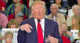 583 donald trump funny face premium high res photos browse 583 donald trump funny face stock photos and images available, or start a new search to explore more stock photos and images. Donald Trump Comedy History 101 Podcast Comedy History 101