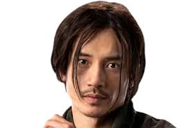 Image result for Trichoscypha silveirana