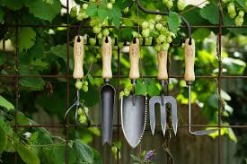 We did not find results for: Dewit Garden Tools Australia Facebook