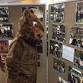 Movie Memorabilia Open House event image