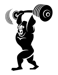 Pin On Excercises