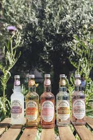 Fentimans Flavoured Tonic Waters Tonic Water Fentimans Gin And Lemonade