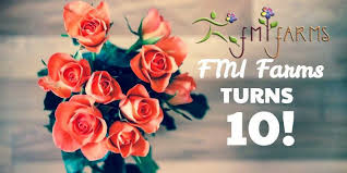 No matter what season your wedding is in, we've got the wedding flowers you need! Wholesale Flowers Fmi Farms