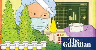 Benefits of using cbd vape juice. What Is Cbd The Miracle Cannabis Compound That Doesn T Get You High Cannabis The Guardian