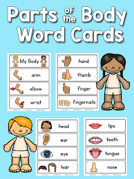 Body parts worksheet by samantha weeks teachers pay teachers. Body Parts Picture Word Cards Prekinders