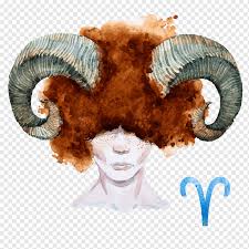 Best love matches for cusp signs: Taurus Astrological Sign Zodiac Aries Horoscope Taurus Libra Black Astrological Symbols Png Pngwing