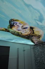 Bedruckte Spanndecke Spanndecken Bedrucken Decke