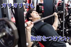 ガリガリの自宅での筋トレメニューと頻度を紹介 初心者必見 肩 筋肉 太る 方法 自重トレ