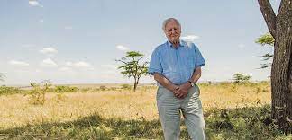 Der brite sir david frederick attenborough ist als tierfilmer und naturforscher seit über einem halben jahrhundert erfolgreich unterwegs und begeistert mit . David Attenborough The Legacy Of A Great Science Communicator Familia Torres
