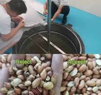 Optical 128 Channels Peanut Corns Sesame Wheat Color Sorter Sorting Machine  Peanut Colour Sorter Price