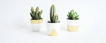 Epingle Par Moods Of Christye Li Sur Home Green Space Diy Idee Deco Facile A Faire Ikea