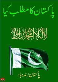 I mean, i love pakistan, it's a green banner image with a dark … Pin By 572 On My Pakistan My Love In 2020 Pakistan Independence Pakistan Independence Day Funny Whatsapp Status