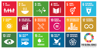 Image result for sdgs