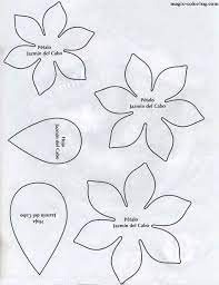 Magic Coloring Gardenia Flower Template Flower Template Paper Flower Template Paper Flowers