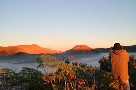 Gambar pemandangan gunung menjadi salah satu pilihan favorit saat akan menggambar ataupun mewarnai. Bukit Mentigen Lokasi Lihat Sunrise Gunung Bromo Tanpa Naik Hardtop Halaman All Kompas Com