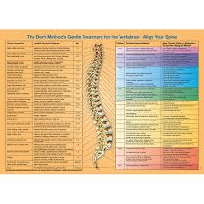 spine organ connections poster english download