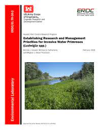 ↑ 1 exotic pest plant council. Pdf Establishing Research And Management Priorities For Invasive Water Primroses Ludwigia Spp