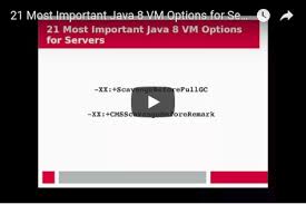 I would like to pass some of java arguments to the java command when the server starts. 21 Most Important Java 8 Vm Options For Servers Maknesium Loving Technology