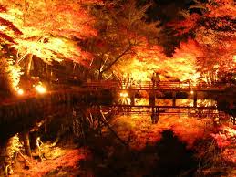 今年は見たい養老渓谷の紅葉 見頃の時期を逃すな 備えるサーチ 備えるサーチ