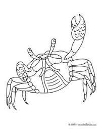 if you like this crab coloring page share it with your friends they will love these sheets from c coloriage animaux gratuit citations de feuilles sonic