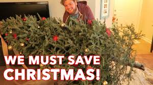 It's easy to get caught up in the excitement of holiday traditions and not think about the impact those traditions christmas trees are an obvious example we're frequently asked about. Christmas Tree Is Dying Youtube
