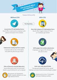 What to look out for in payroll software for sme business : What Is Payroll Basics Process More Greythr