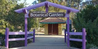 April flowers san luis obispo. San Luis Obispo Botanical Garden The Garden Is Changing Entrance Atascadero News