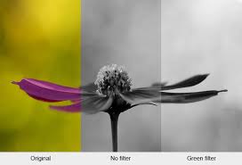 Maybe you would like to learn more about one of these? Using Coloured Filters In Black And White Photography Photography Mad