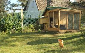 Posted on 00.47 by andy. The Green Lever Using Minimal Resources For Maximum Quality Of Life Diy Pallet Wood Week End Chicken Coop Hen House