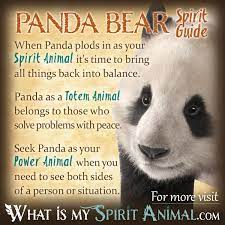 You may have asked yourself: Pin On Book Of Shadows