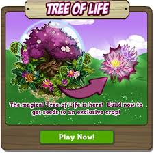 These reasons are to help the tree survive transplanting, to stimulate growth and to shape it so the root system can support the branches. Tree Of Life Feature Guide