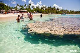 Oficinas en santo domingo, punta cana, la romana, boca. El Paraiso De La Republica Dominicana Samana Machbel