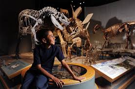 Esposizioni Denver Museum Of Nature Science Nature Museum Denver Museums North American Indians