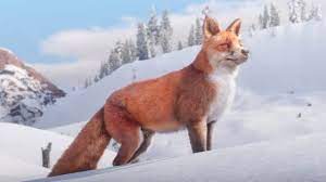 03.03.2021 · skunk look rdr2 : All Animal Locations Guide Rdr2 Org