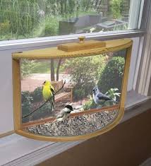Unknown Birds Outside My Window Field Type Product Product Code Window Bird Feeder House Window Bird Houses